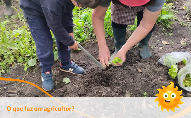 O que faz um Agricultor. Externato Sol Nascente