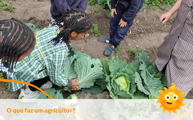 O que faz um Agricultor. Externato Sol Nascente