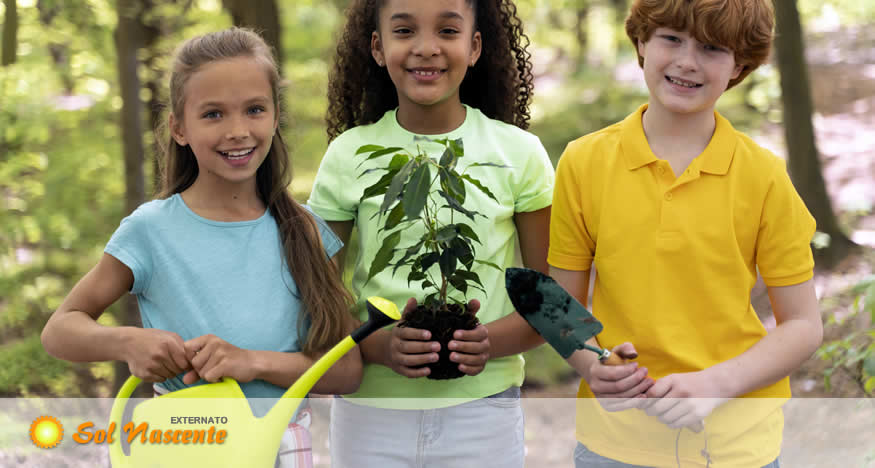 Dia Mundial do Ambiente: Proteger o Nosso Planeta para Melhorar a Vida nas Cidades