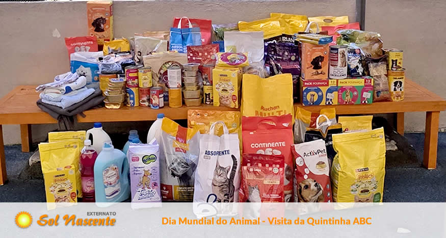 Comemoração do Dia Mundial do Animal. Externato Sol Nascente