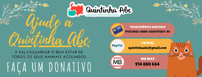 2025 11 26 quintinhaabc corpo