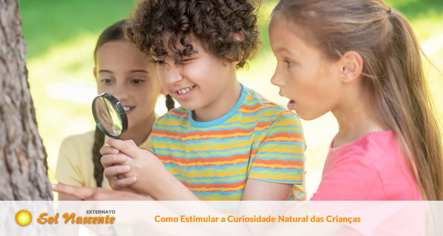 Como Estimular a Curiosidade Natural das Crianças. Externato Sol Nascente
